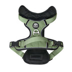 Green dog harness with black padding on a white background