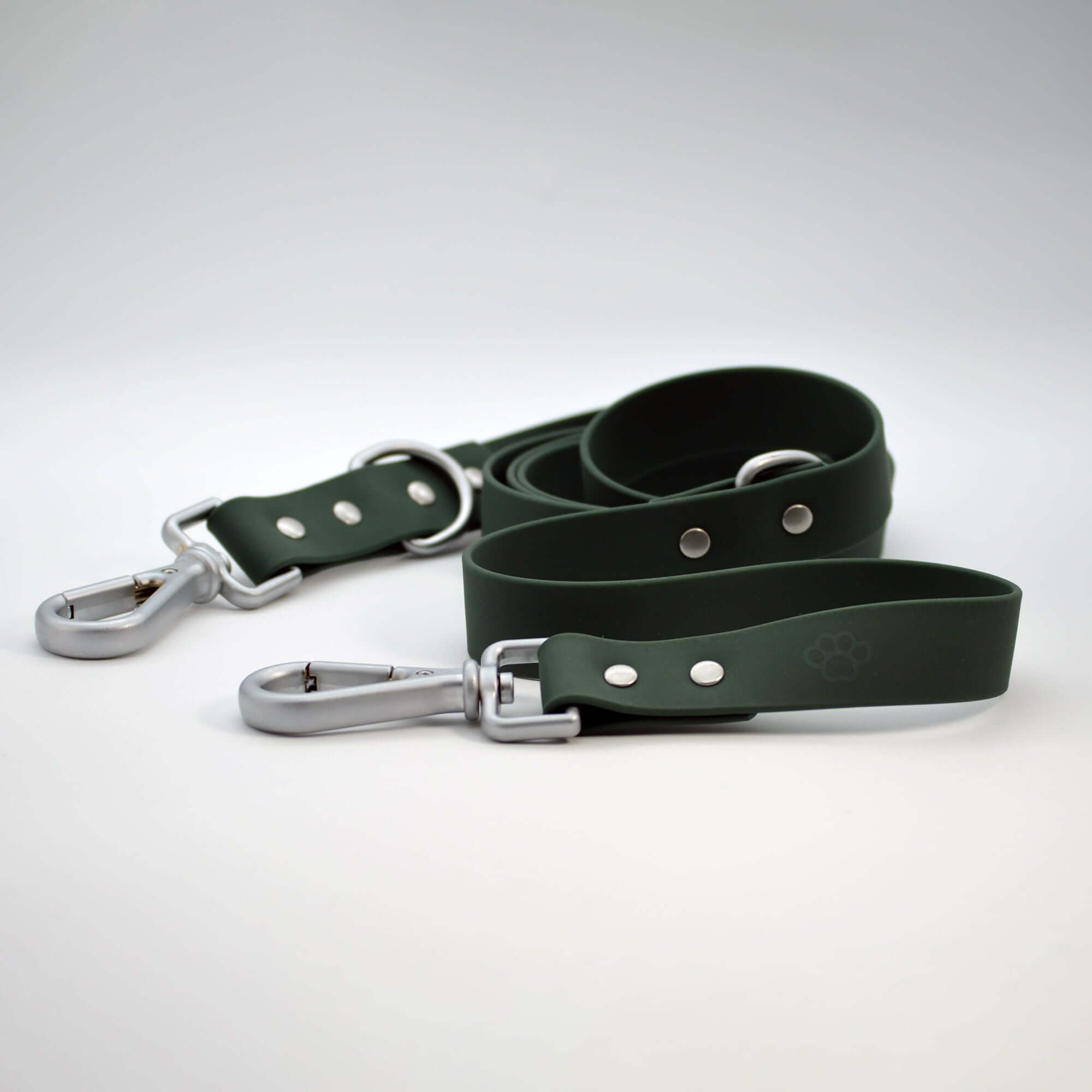 Green dog leash with silver clips on a white background