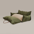 Set of green and beige pet car sear on a neutral background