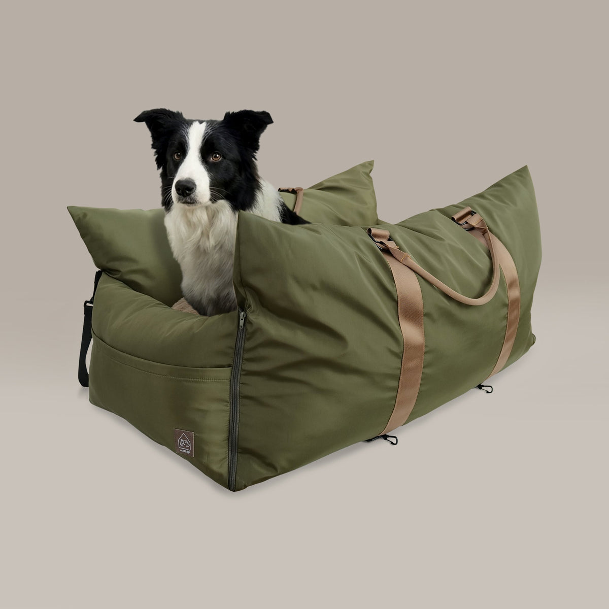 Dog peeking out from a green pet carrier with a beige background