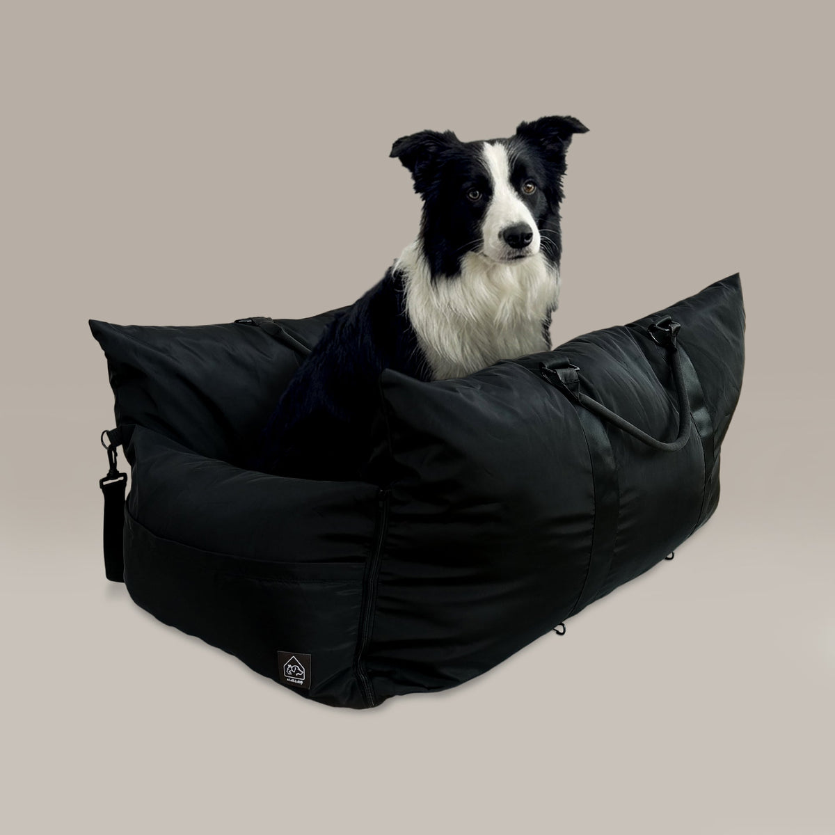 Dog sitting in a black pet bed on a beige background