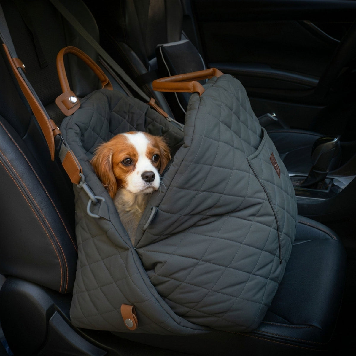 Black quilted pet carrier with a small dog inside a car