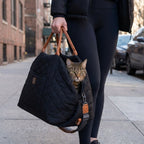 Person walking on the street with a black quilted pet carrier with a cat inside