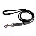 Black dog leash with a silver clip on a white background