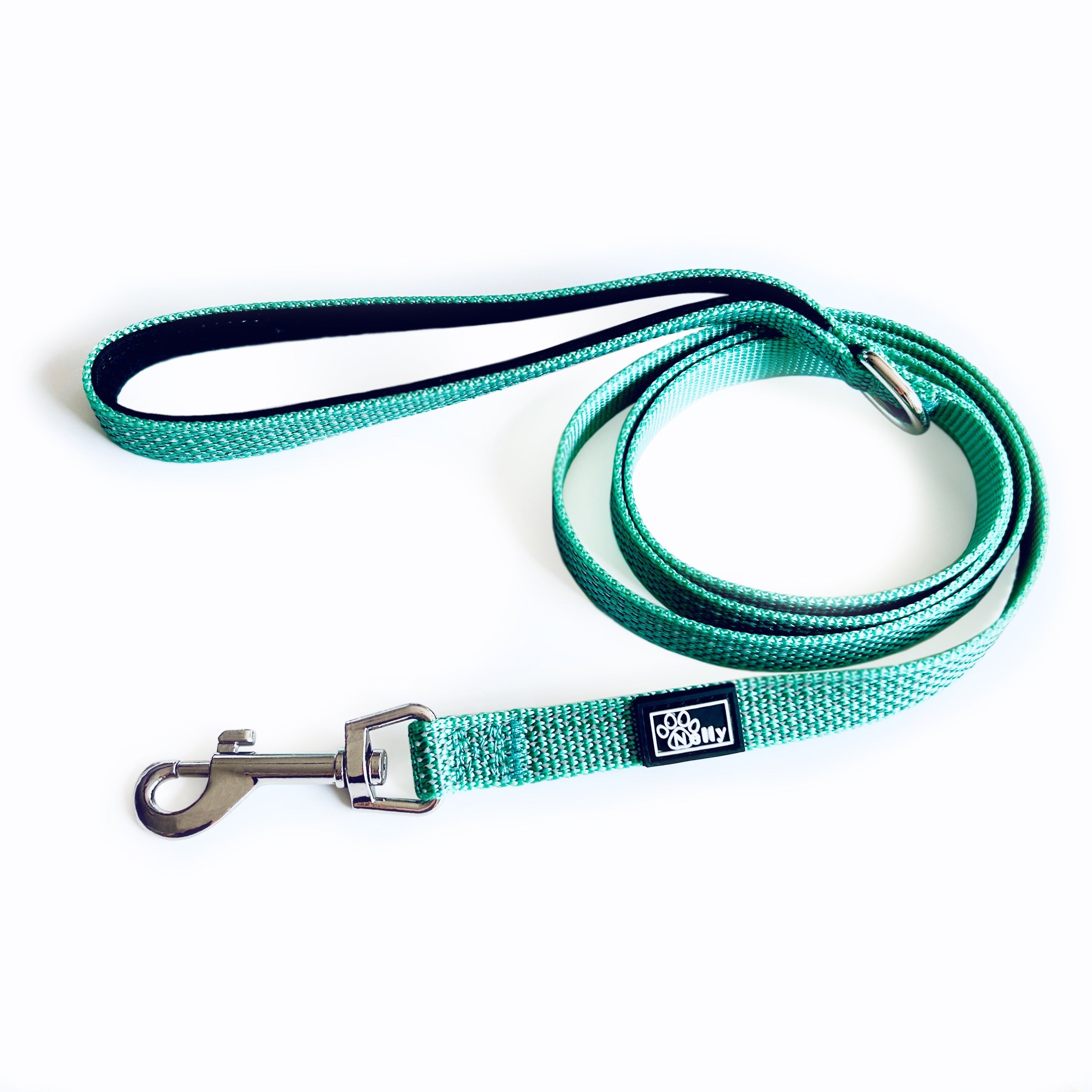Teal dog leash with a metal clip on a white background