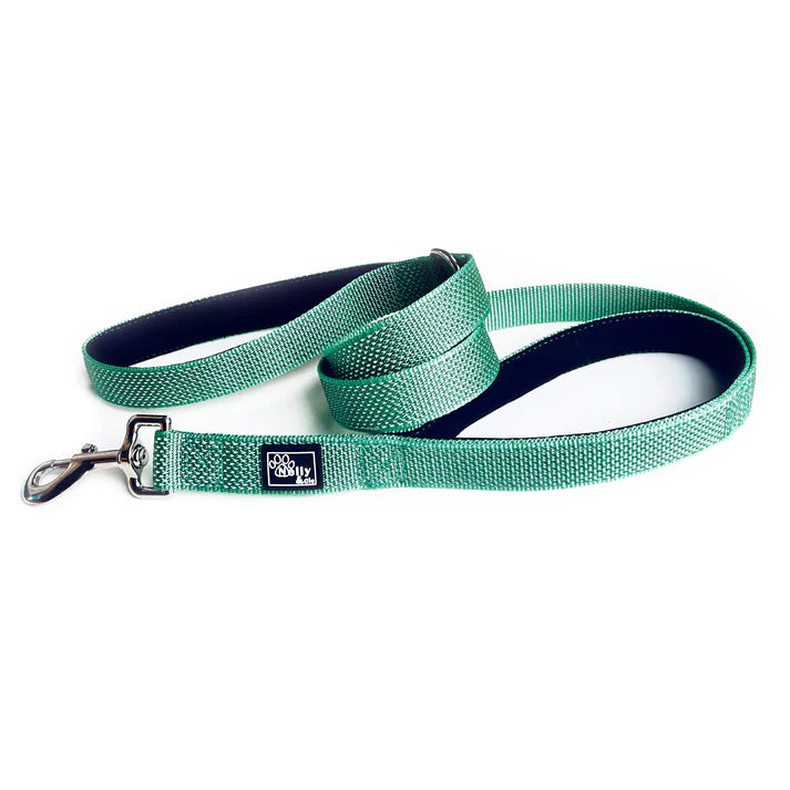 Turquoise dog leash on white background