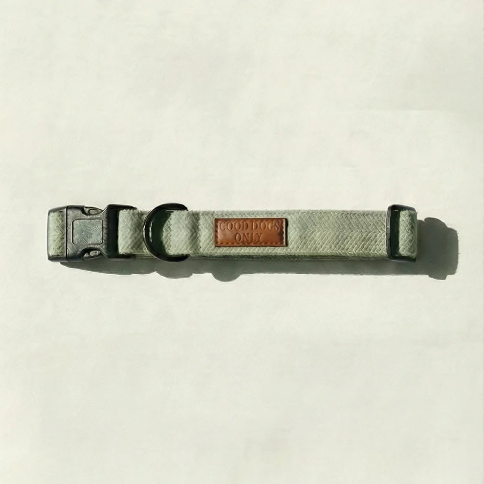 Green dog collar with a brown leather patch on a beige background
