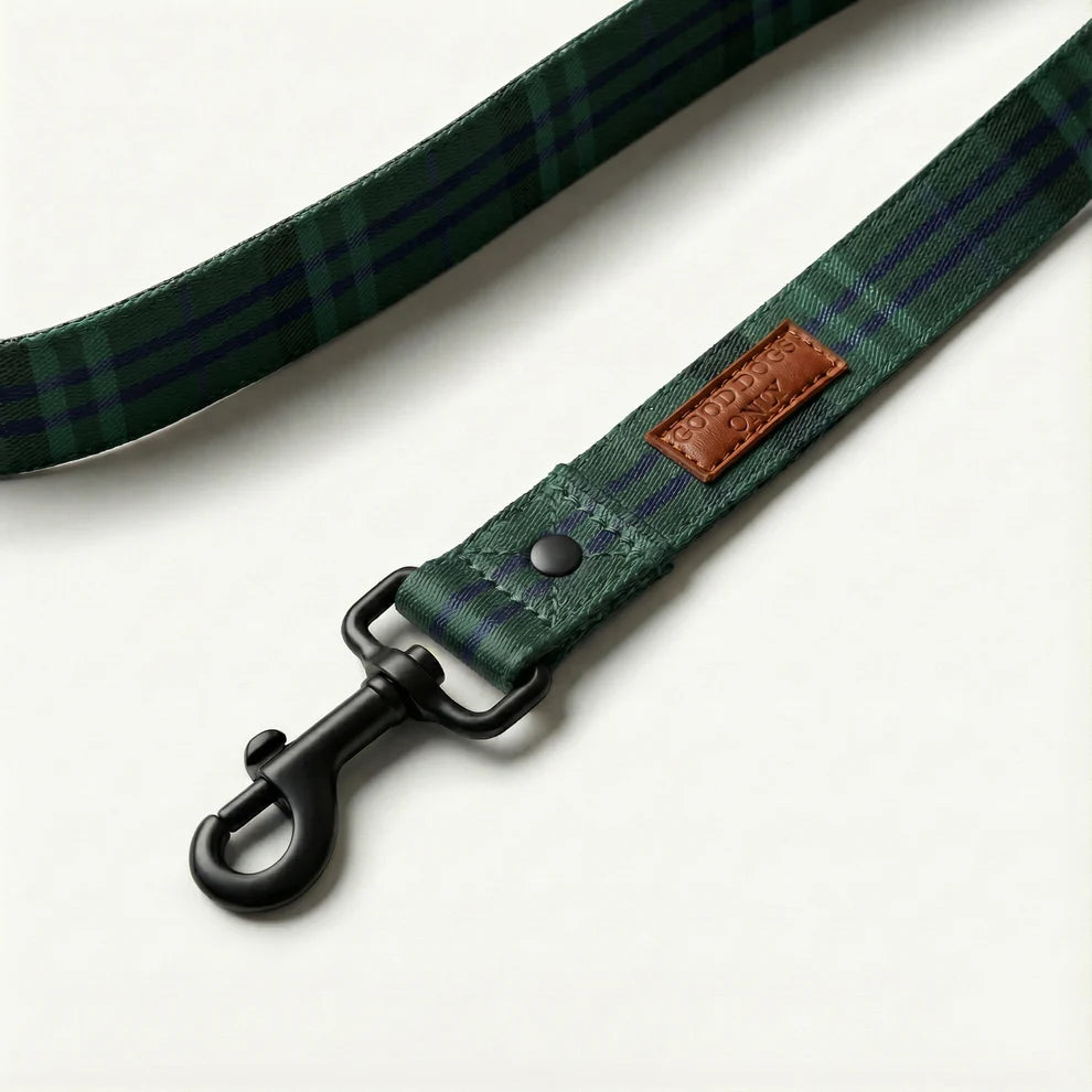 Green plaid dog leash with a brown leather patch on a white background