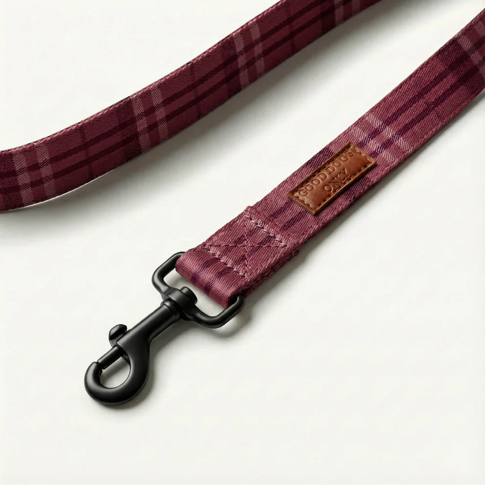 Plaid dog leash with black clip on a white background