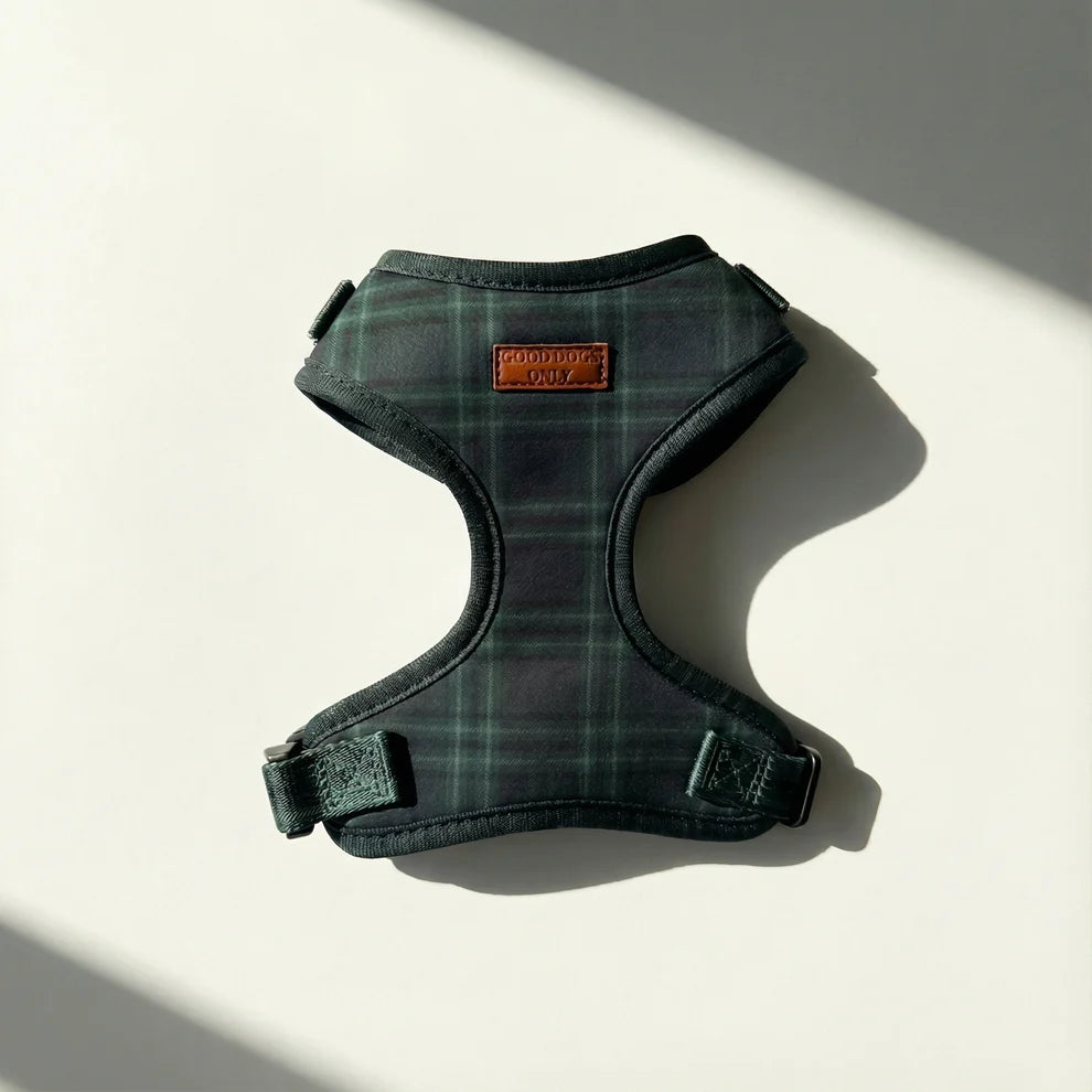 Green plaid dog harness on a light background