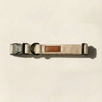 Dog collar with leather patch on a beige background