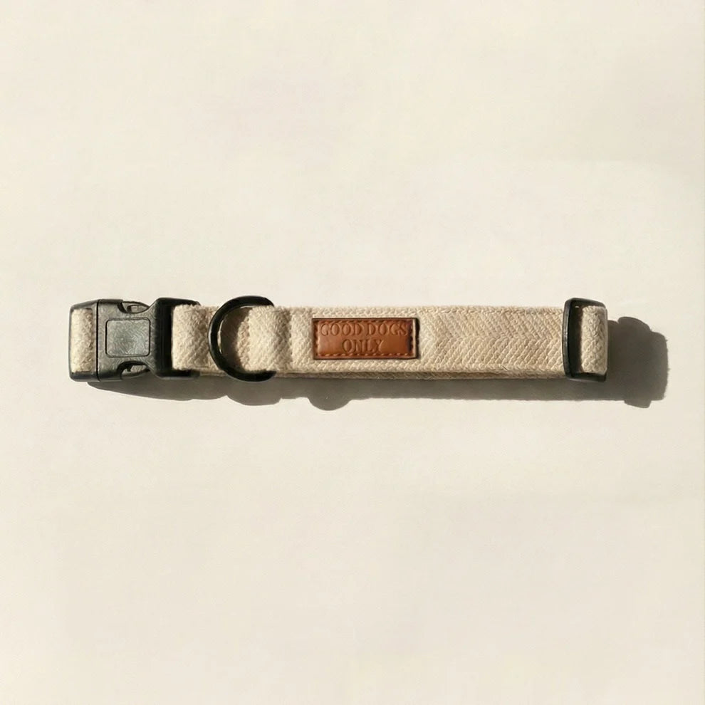 Dog collar with leather patch on a beige background