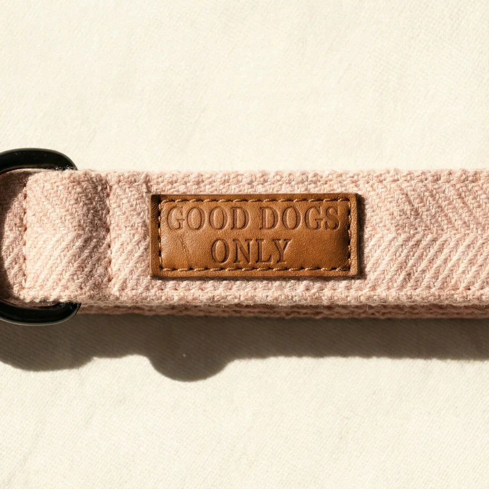 Pink dog collar with a brown leather patch labeled 'Good Dogs Only' on a beige background