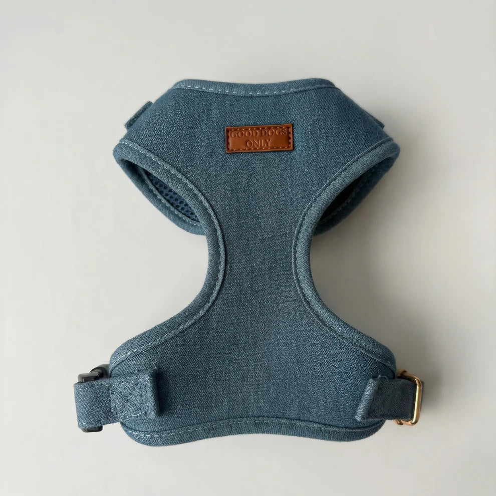Blue dog harness with a brand label on a light gray background