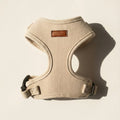 Beige dog harness on a beige background
