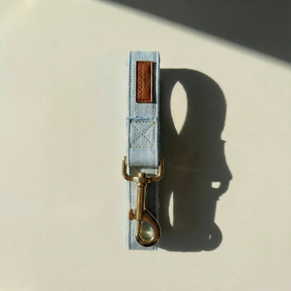 Dog leash with gold clasp on a beige background