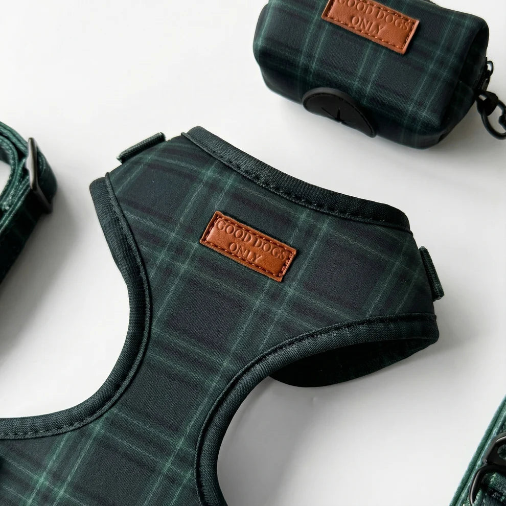 Green plaid dog harness and dog waste holder and  leash set on a white background