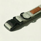 Dog collar with a leather patch on a light background