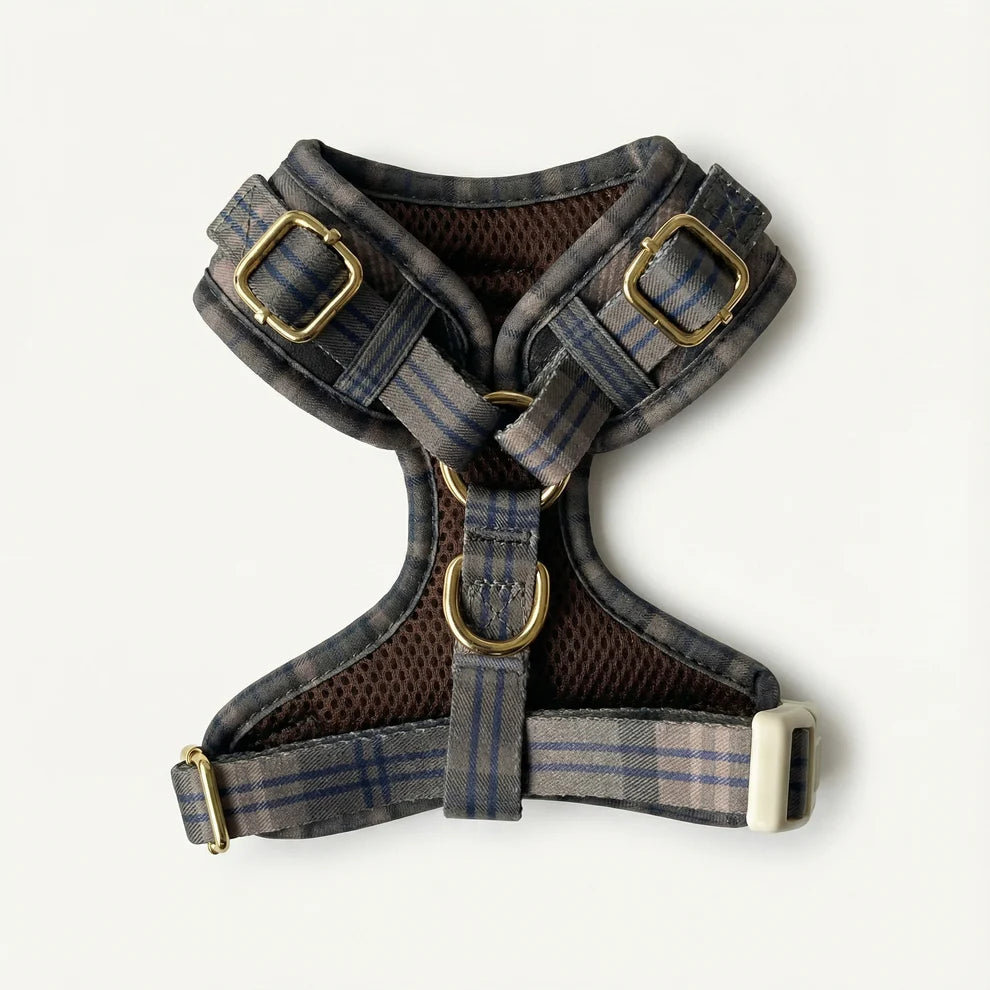 Plaid dog harness with gold buckles on a white background