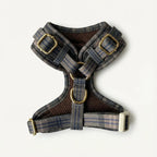 Plaid dog harness with gold buckles on a white background