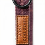 Dog collar with a leather patch reading 'Good Dog Only' on a white background