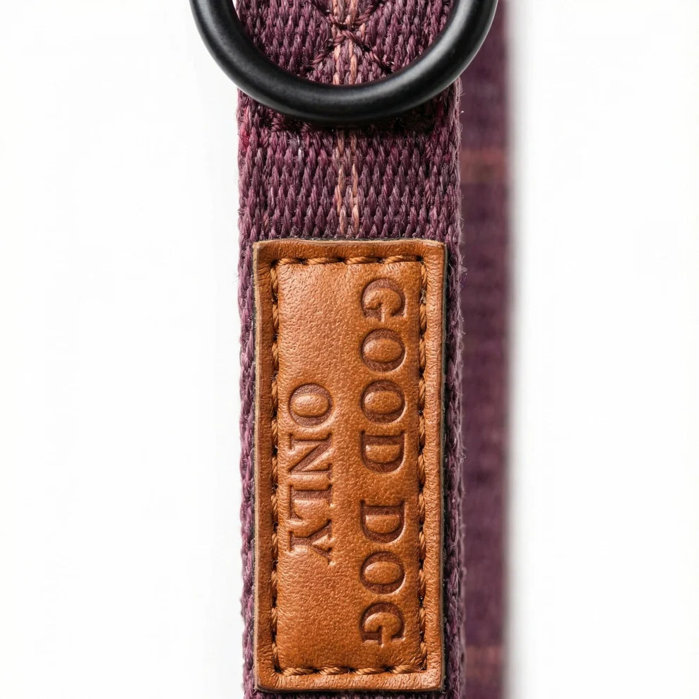 Dog collar with a leather patch reading 'Good Dog Only' on a white background