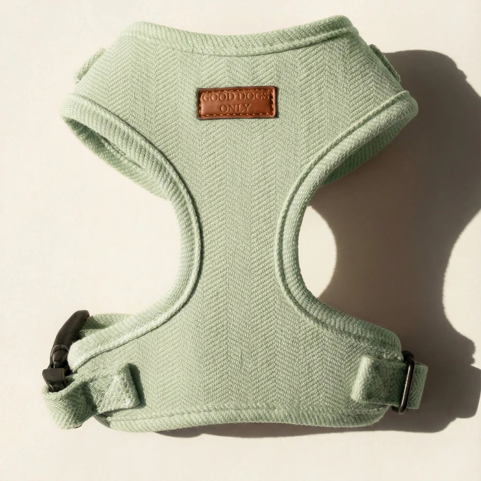 Light green dog harness with 'Good Dog' label on a beige background