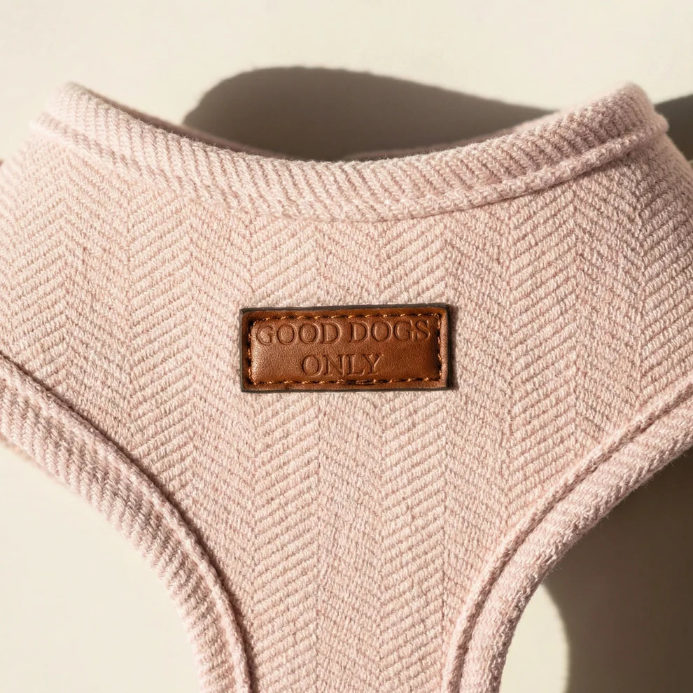Pink dog harness with 'Good Dogs Only' label on a neutral background