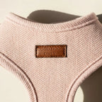 Pink dog harness with 'Good Dogs Only' label on a neutral background
