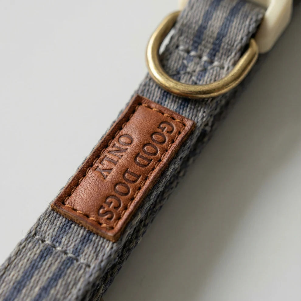 Dog collar with a leather tag on a light background