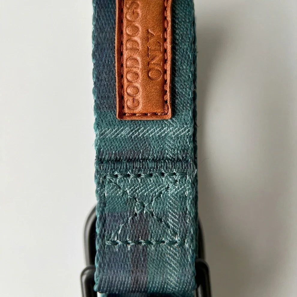 Teal dog collar with a brown leather patch displaying 'Good Dogs Only' on a light gray background.