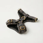 Dog harness with plaid pattern and gold buckles on a white background