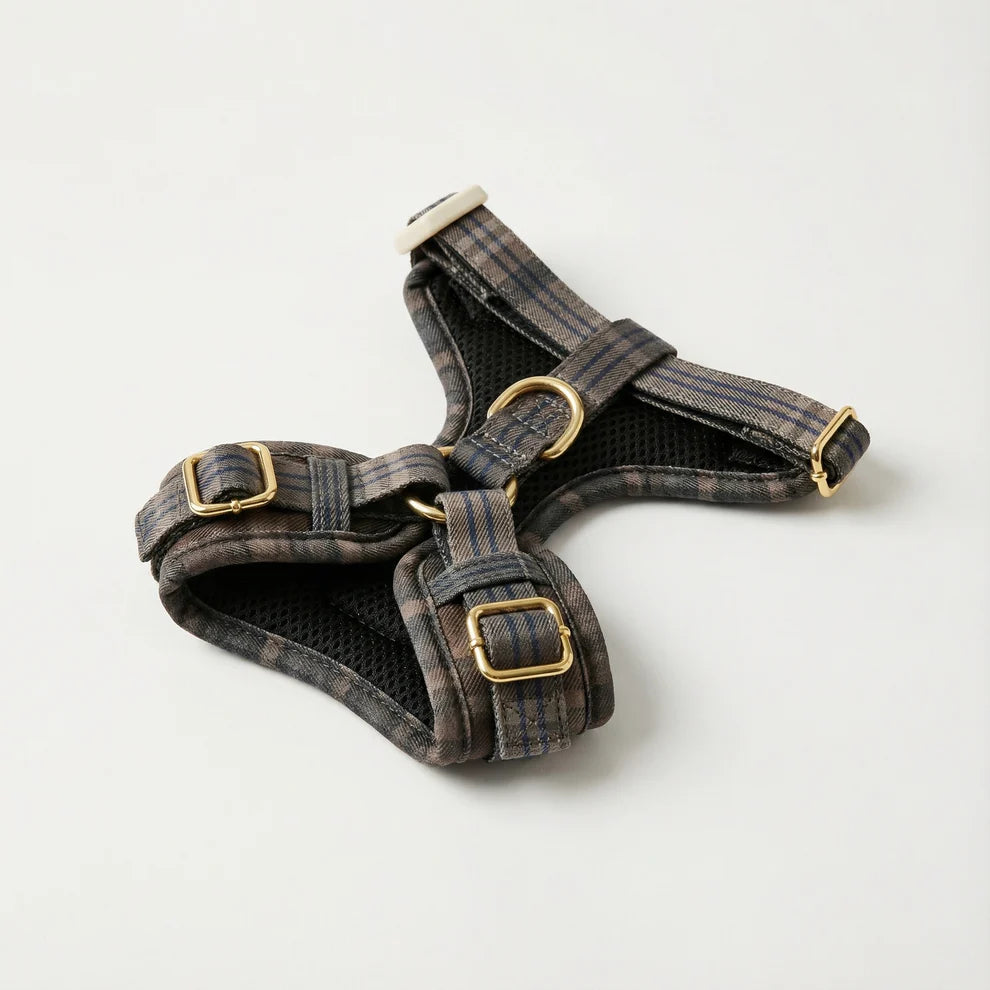 Dog harness with plaid pattern and gold buckles on a white background