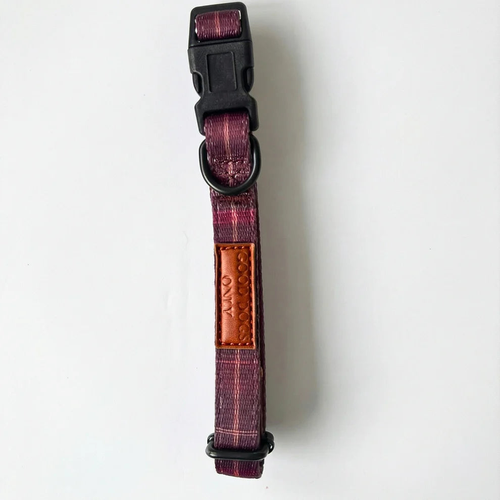Dog collar with a patterned strap and leather patch on a white background