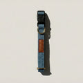 Blue dog collar with brown leather patch on a light beige background