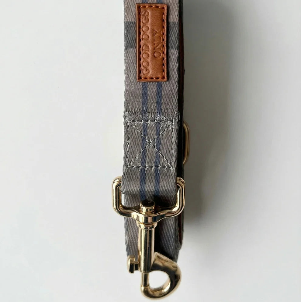 Dog leash with gold clasp and plaid pattern on a white background