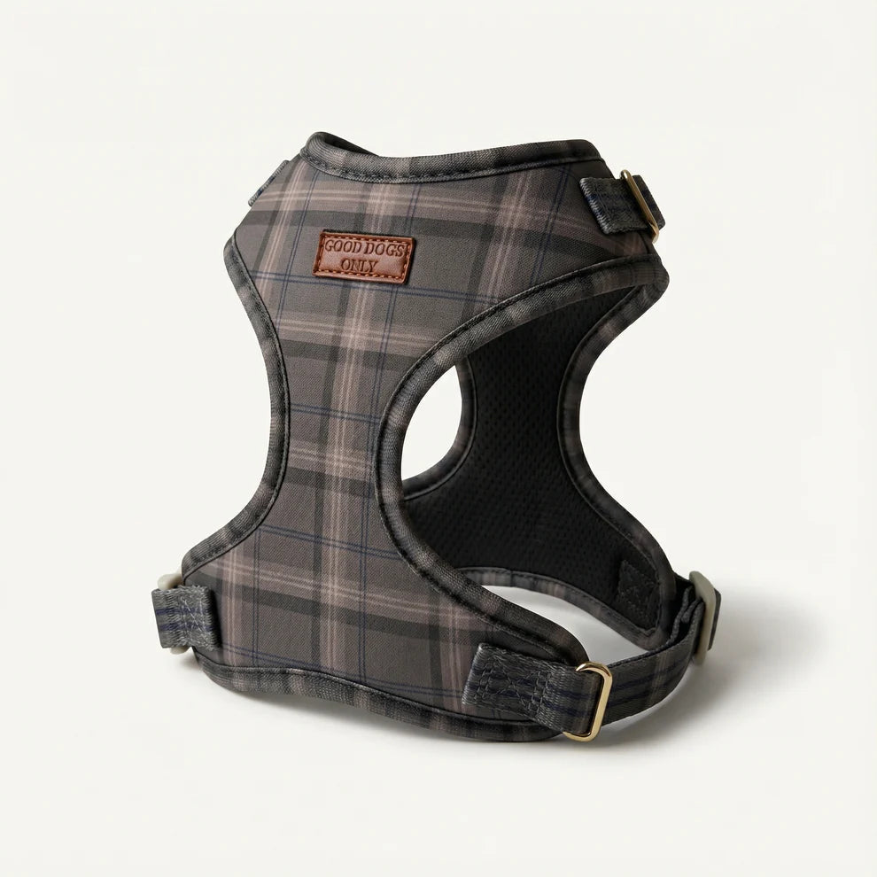 Plaid patterned dog harness with visible brand label on a white background