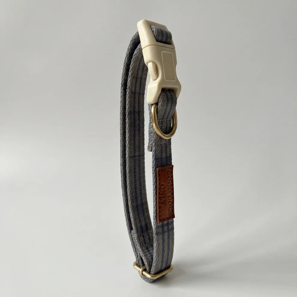 Dog collar with a leather patch on a light gray background