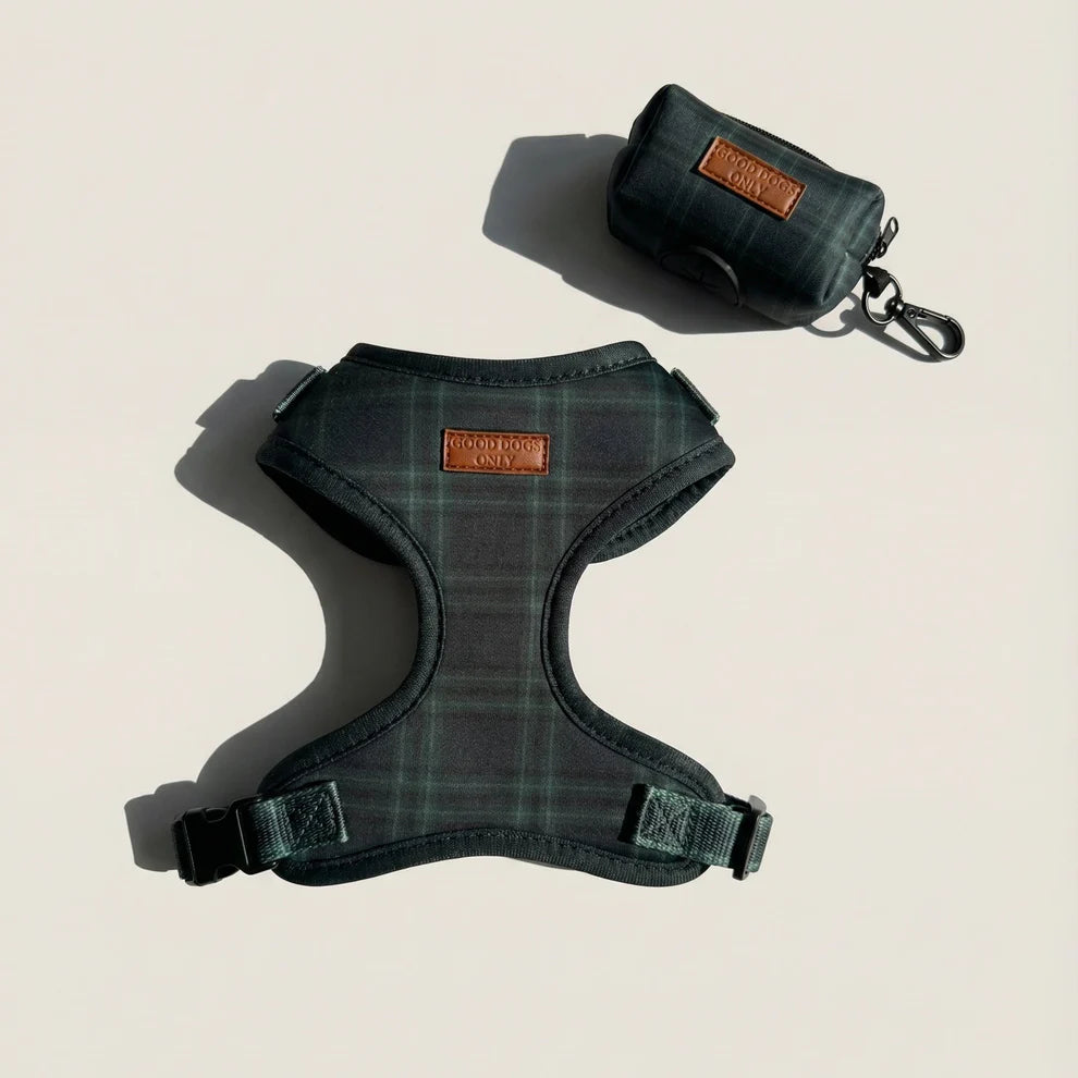 Dog harness and matching pouch on a light beige background
