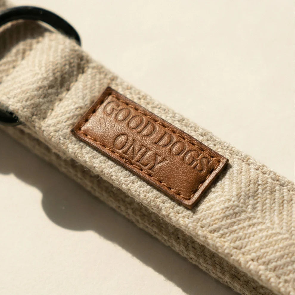 Beige dog collar with a brown leather tag reading 'Good Dogs Only' on a beige background