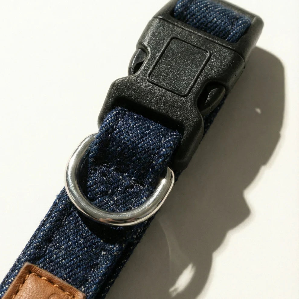 Close-up of a blue dog collar with a black buckle on a white background