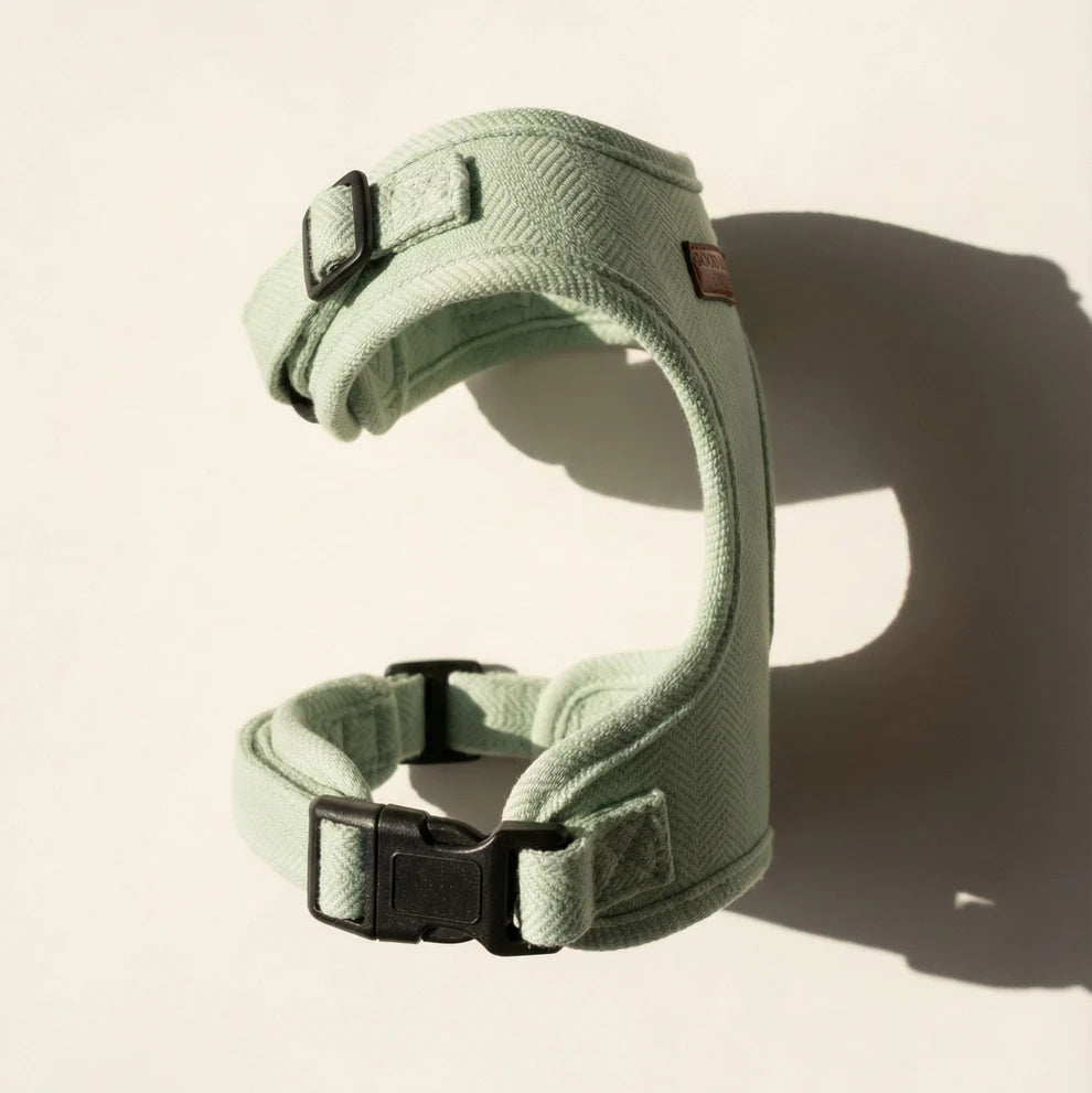 Green dog harness with black buckles on a beige background