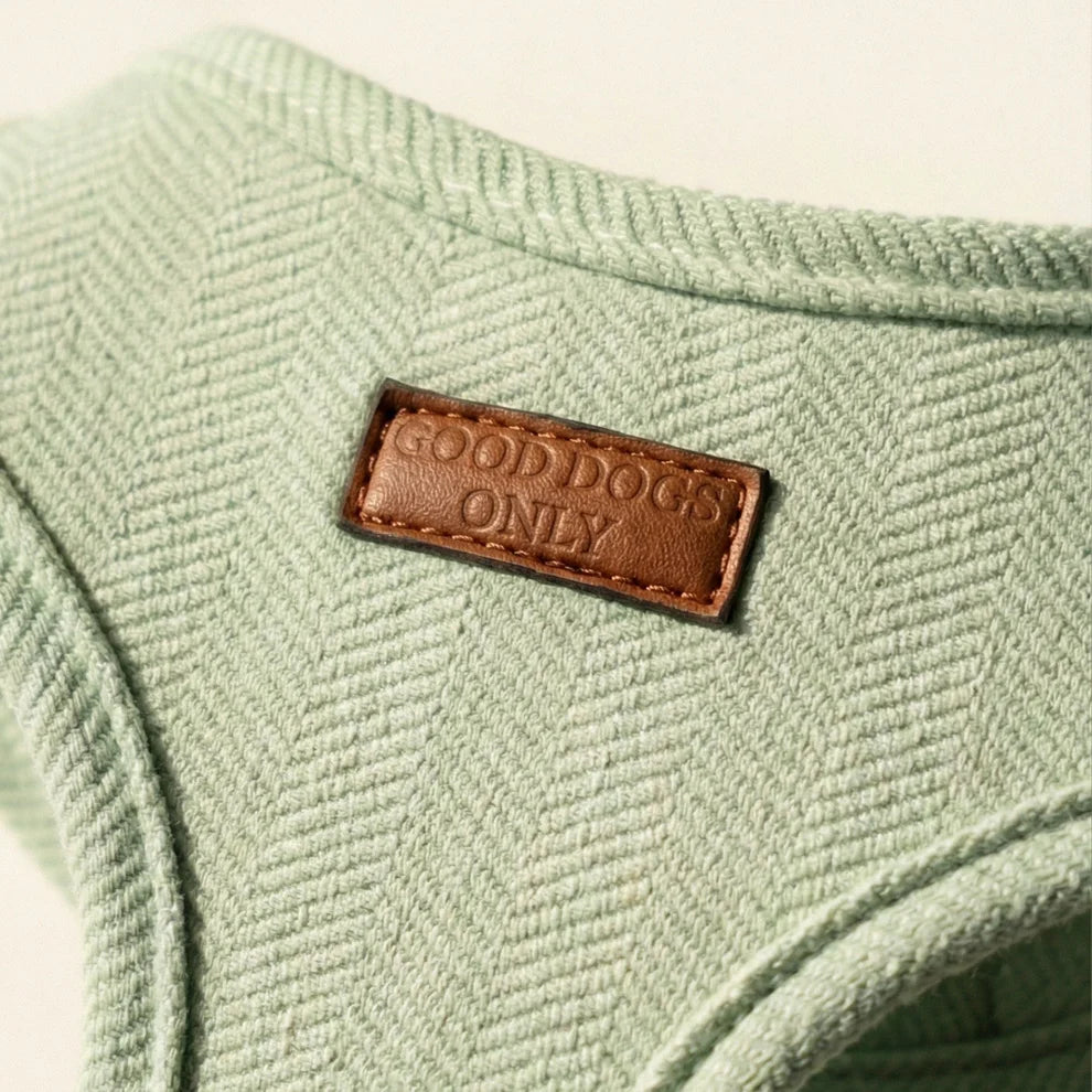 Green dog harness with a brown leather label reading 'GOOD DOGS ONLY'.