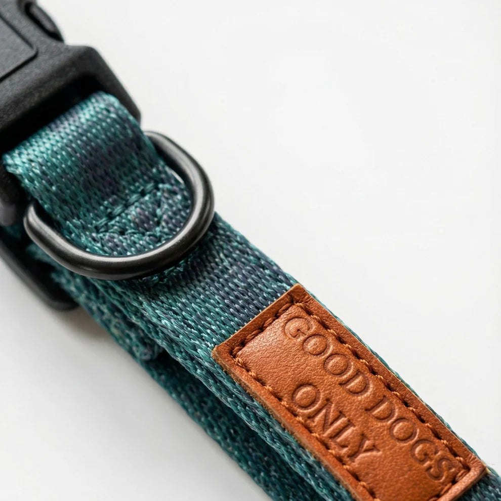 Teal dog collar with a brown leather tag reading 'Good Dogs Only' on a light gray background