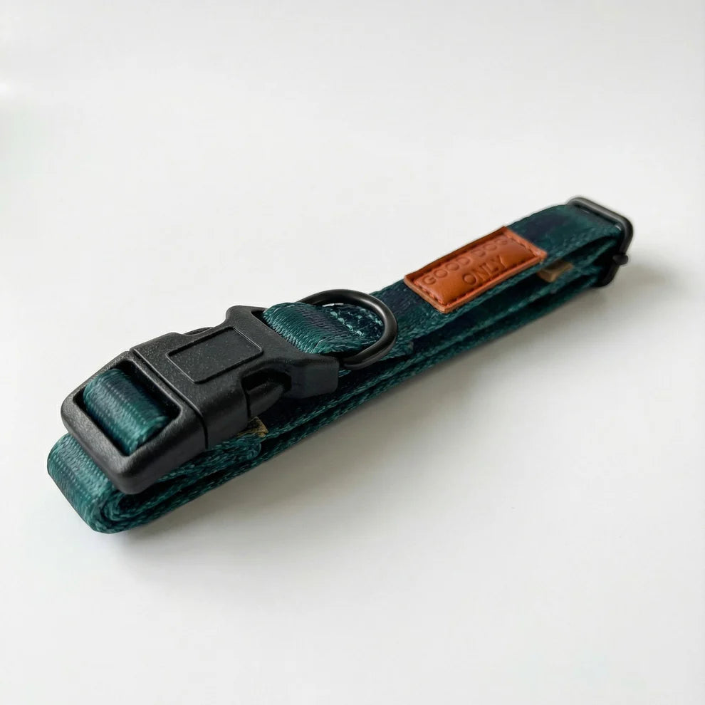 Green dog collar with a brown leather patch on a white background
