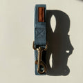 Blue dog leash with brass clip on a beige background