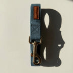 Blue dog leash with brass clip on a beige background
