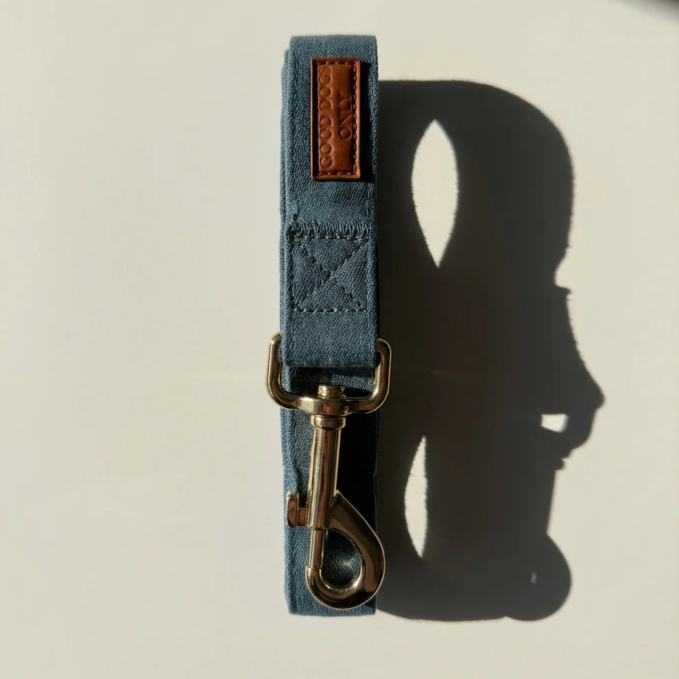 Blue dog leash with brass clip on a beige background