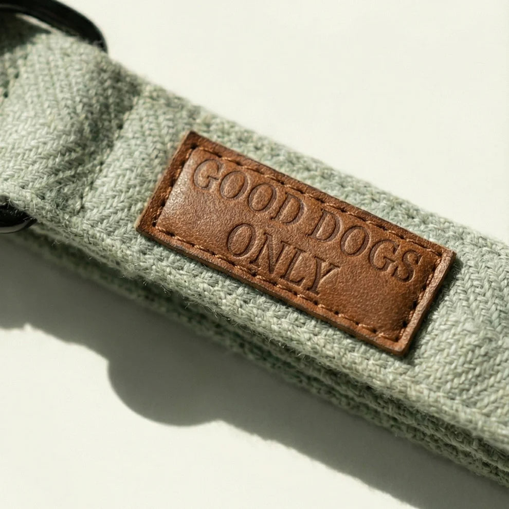 Green dog collar with a brown leather label reading 'Good Dogs Only' on a light background