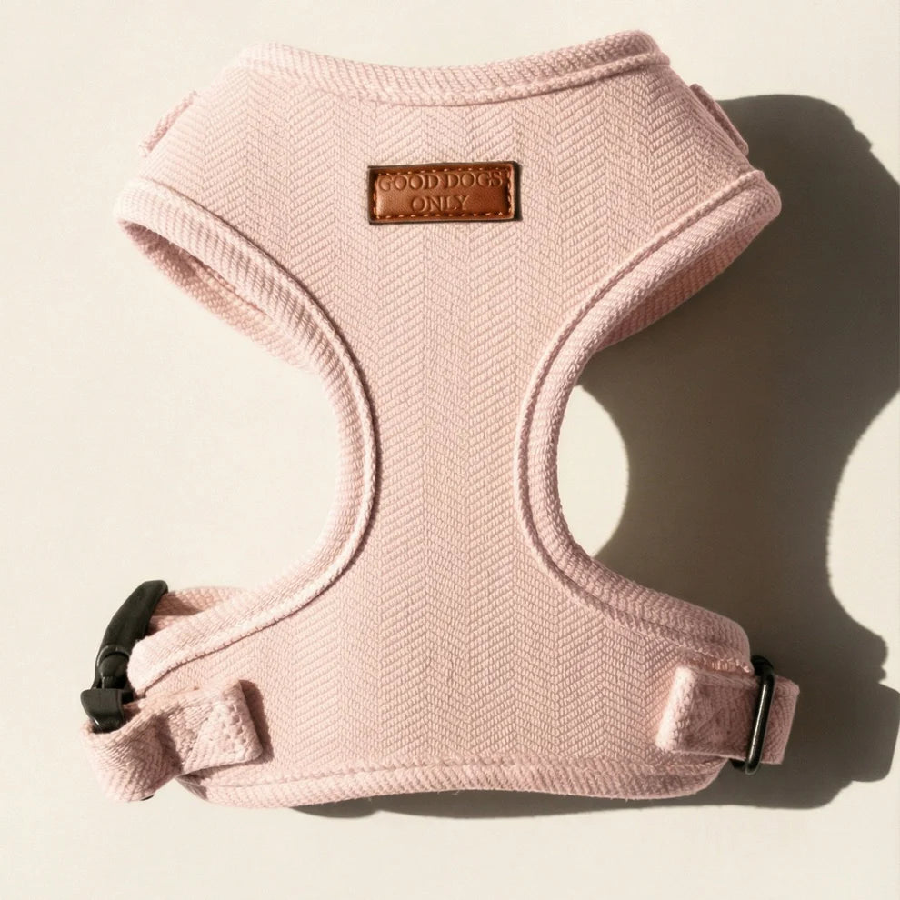 Pink dog harness with a brand label on a light background